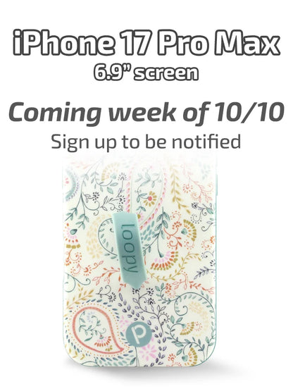 Painted Paisley