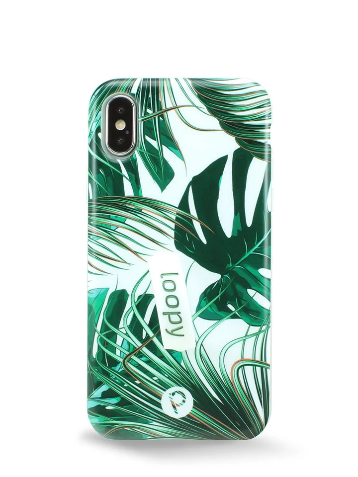 Monstera