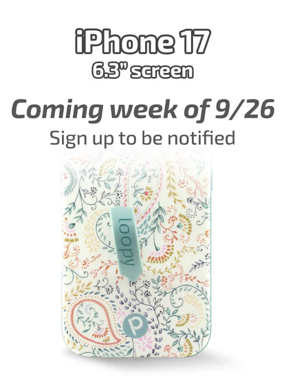 Painted Paisley