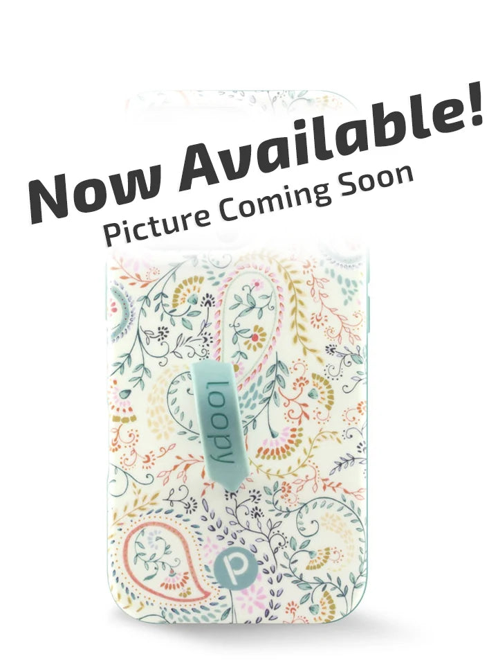 Painted Paisley