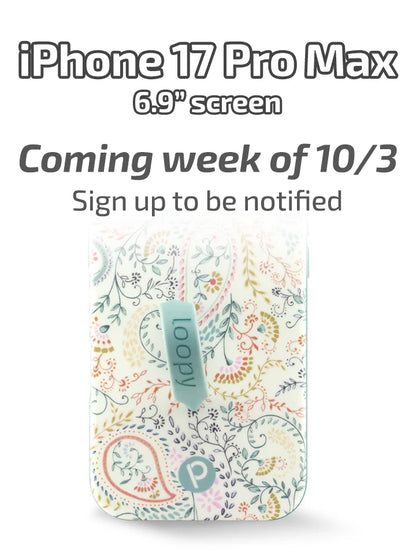 Painted Paisley